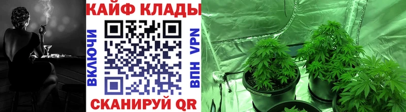 A PVP Зеленогорск