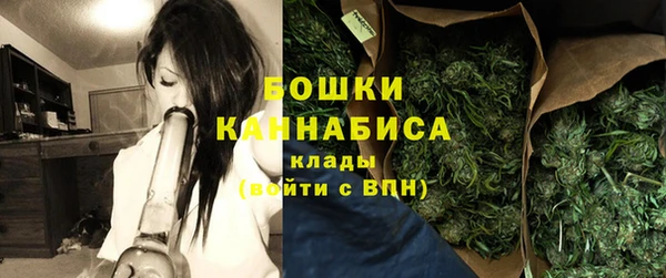 apvp Анива