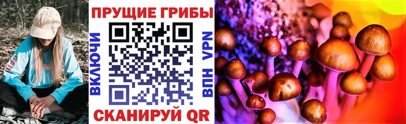 Псилоцибиновые грибы мухоморы  Зеленогорск 